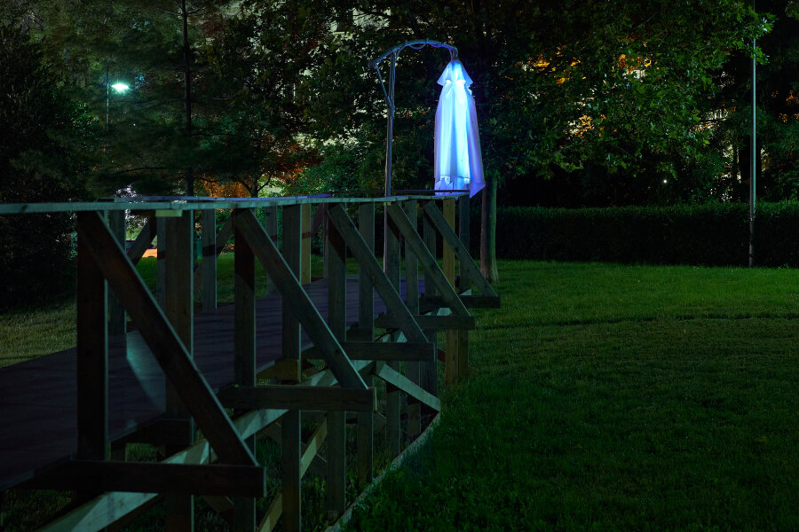 Reinhold Zisser, David Přílučík